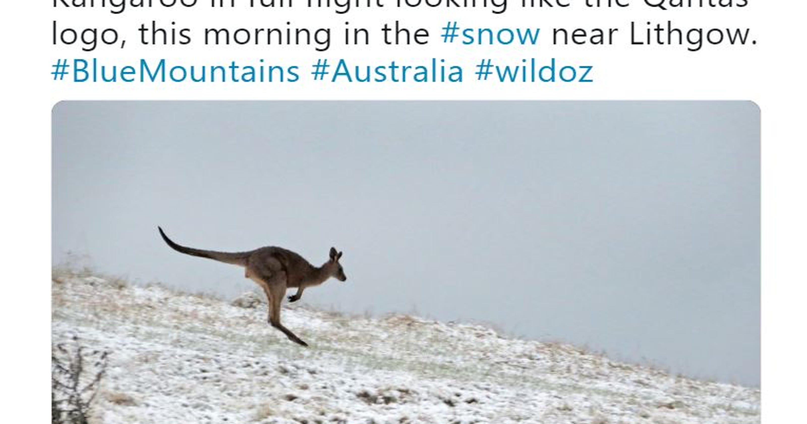 Ad1a281f 966c 4b3b 8c9b 76dd03200cd7 Australia Snow.JPG?crop=765,430,x0,y133&width=3200&height=1680&fit=bounds