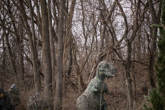 prehistoric forest irish hills