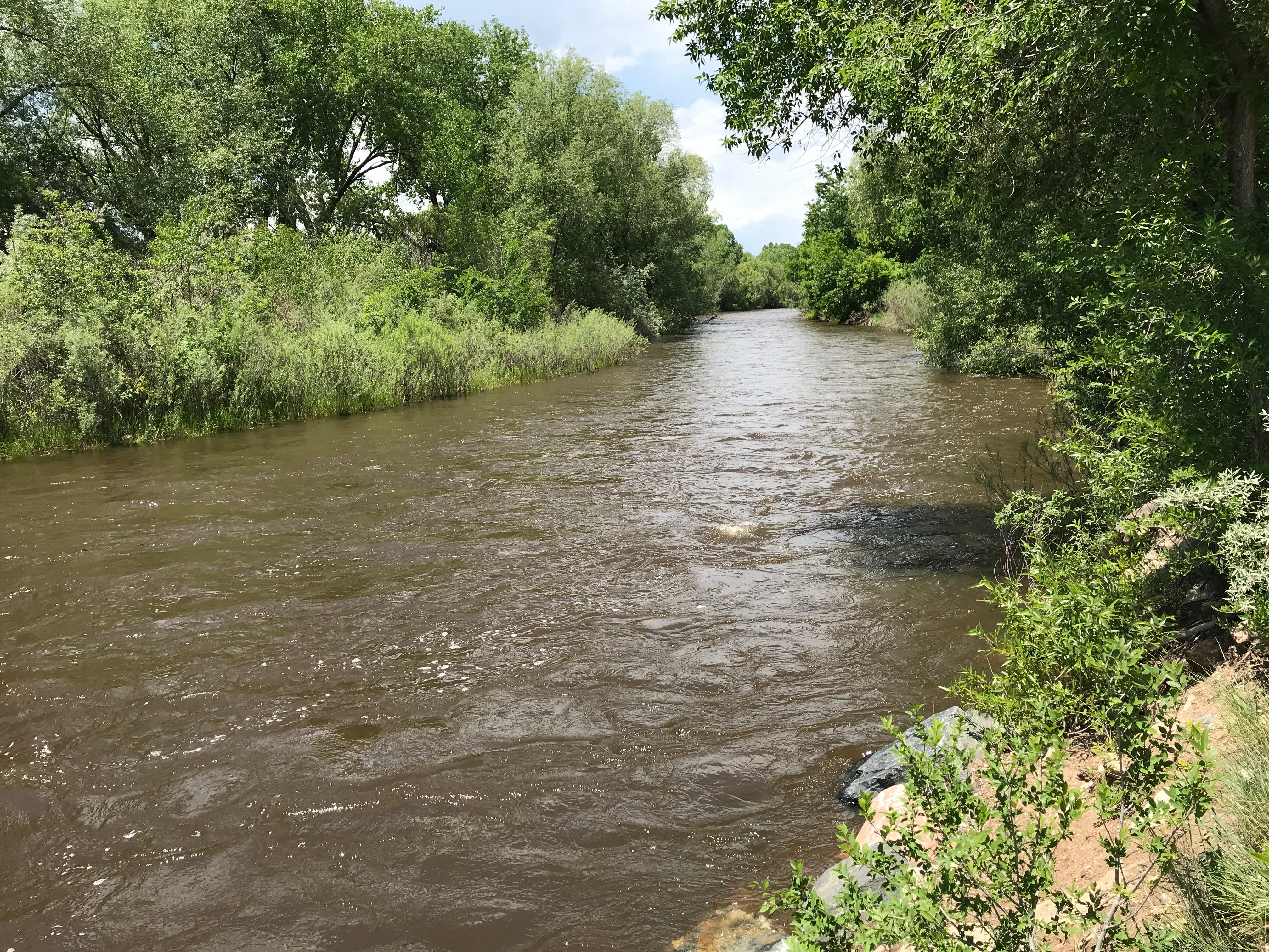 Rising Poudre River Still Well Below Flood Stage