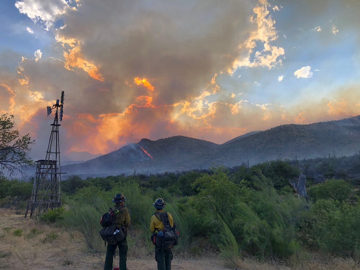 Tonto National Forest Restrictions Ordered Due To Wildfire Risk   9cfa4dc9 6a87 4992 9b5e 960fb9af3531 Woodbury Fire 