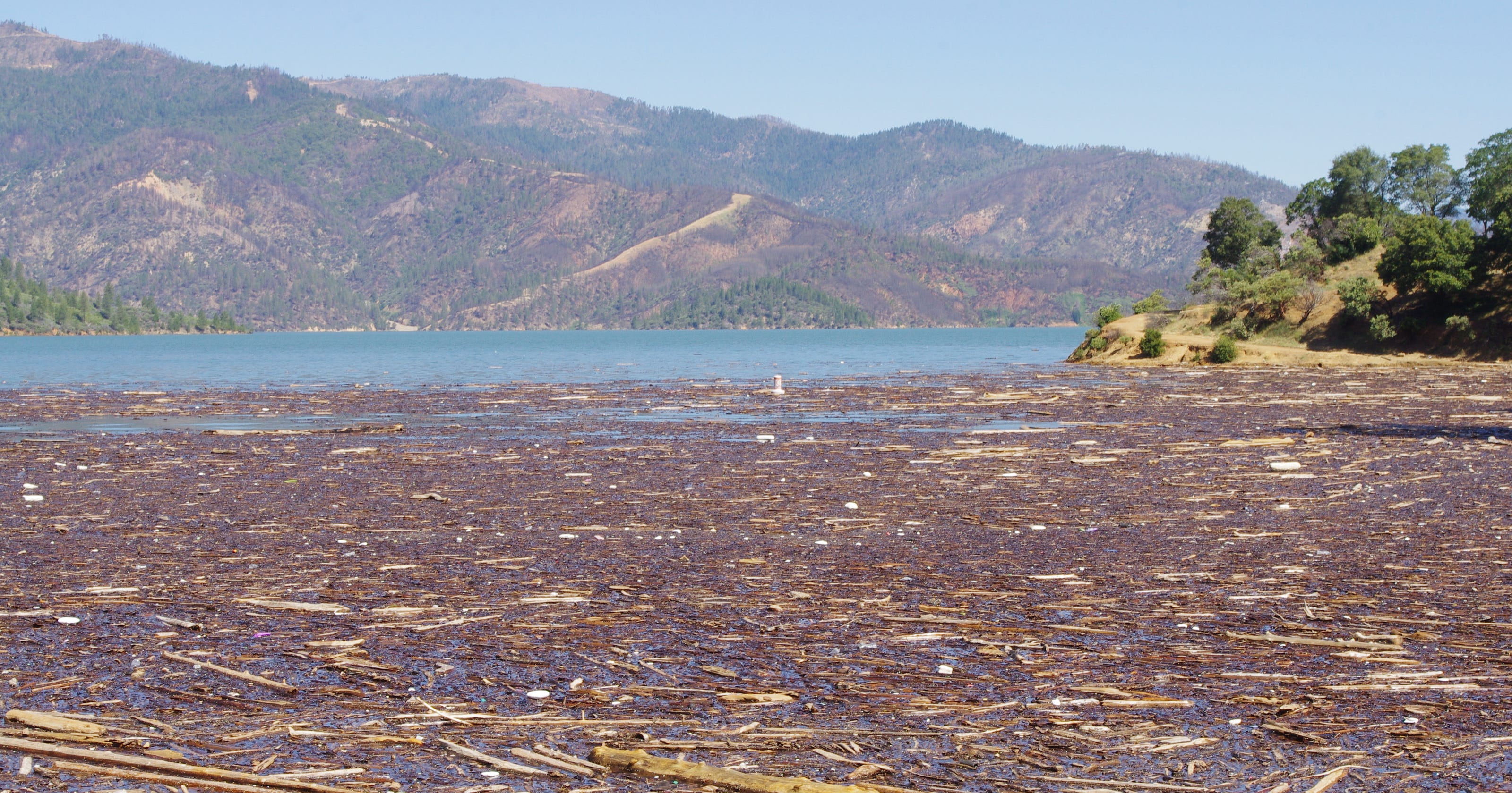 Lake Shasta fills but brings unwanted side effect