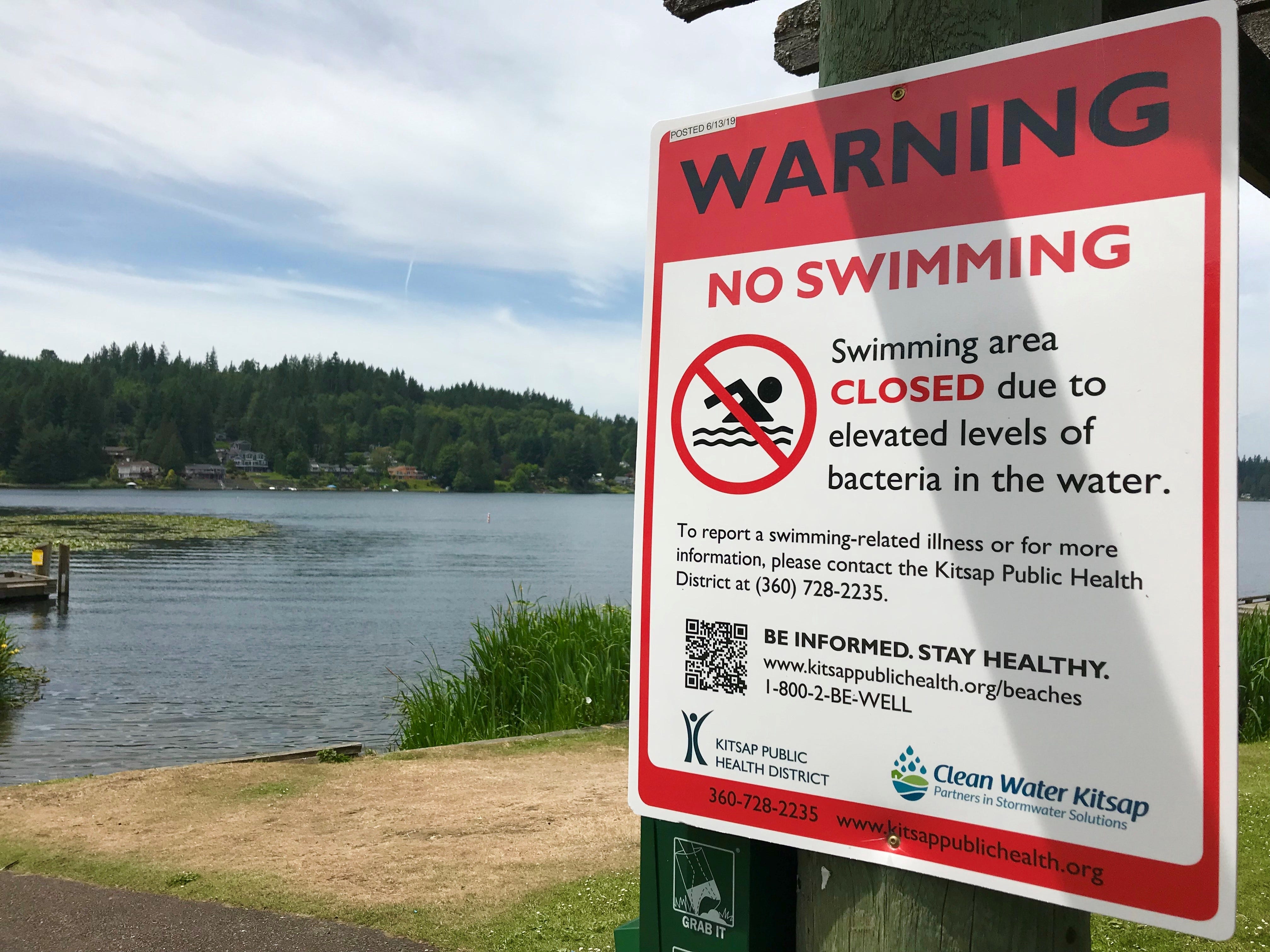 High Levels Of E. Coli Bacteria Close Swimming Beach At Kitsap Lake