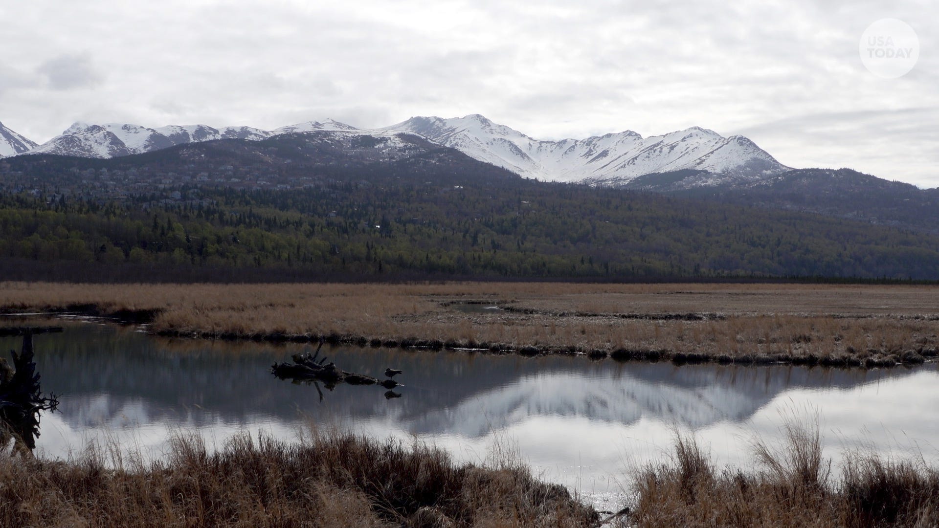 alaska-is-the-most-dangerous-state-in-the-u-s-for-women