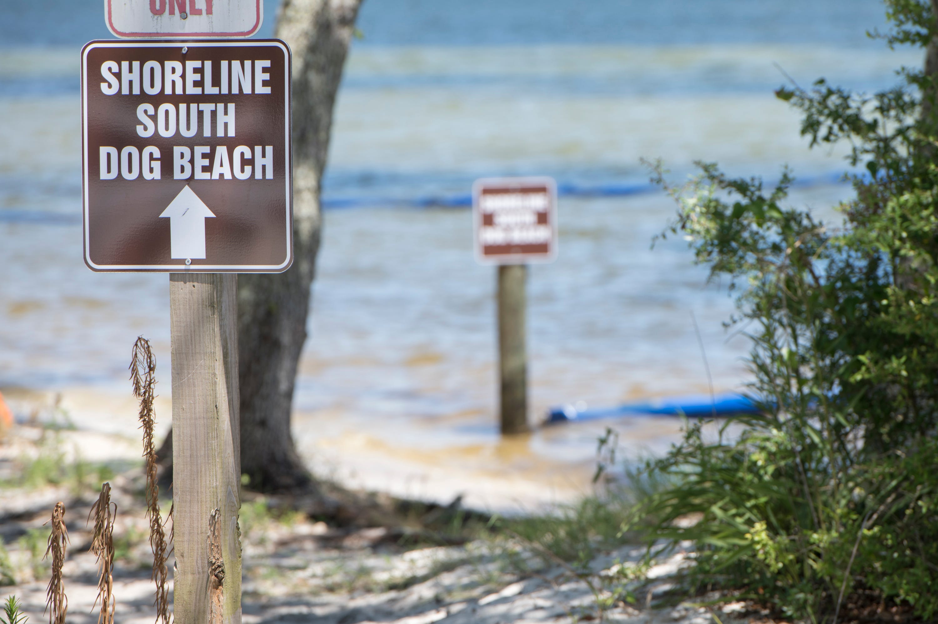 Gulf Breeze Dog Park Opens Near Shoreline Park: What To Know