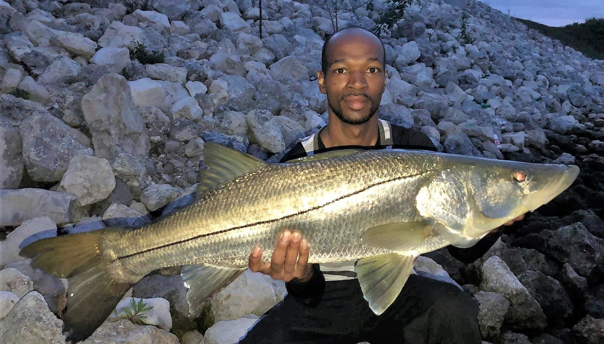 Florida snook season opens Feb. 1. Tips for catching this feisty fish