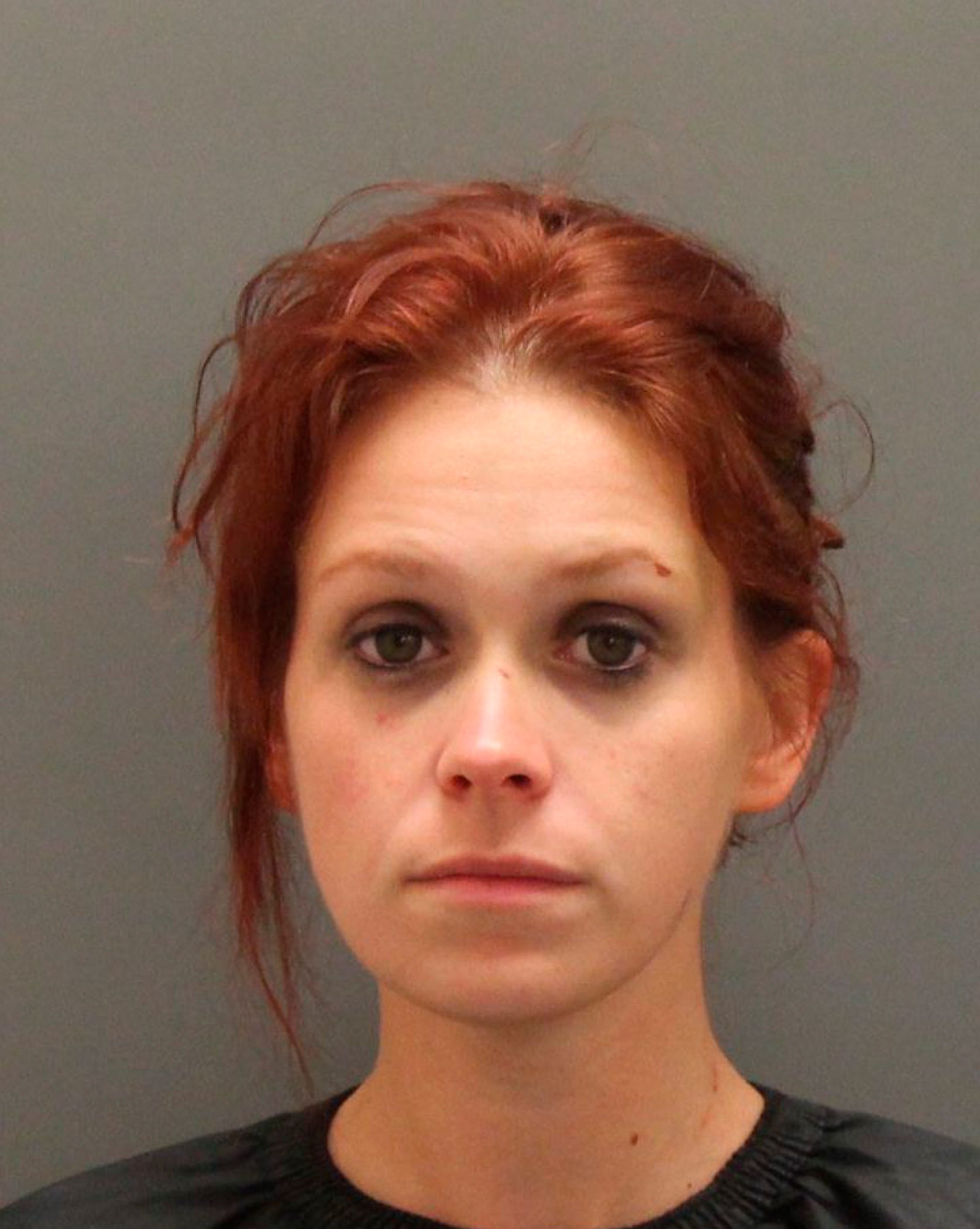 Toy Truck Drunk Driving South Carolina Woman Megan Holman Arrested