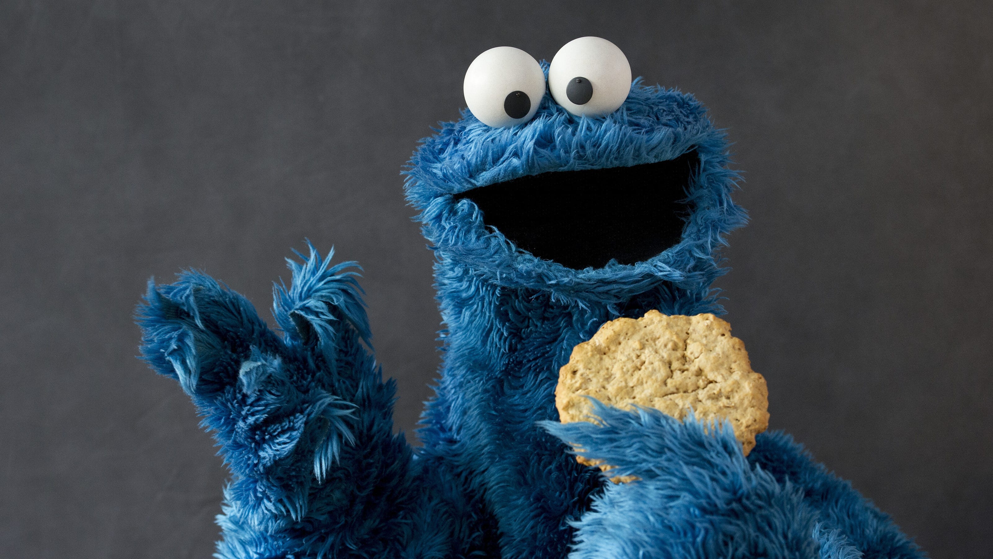 sesame street cookie monster