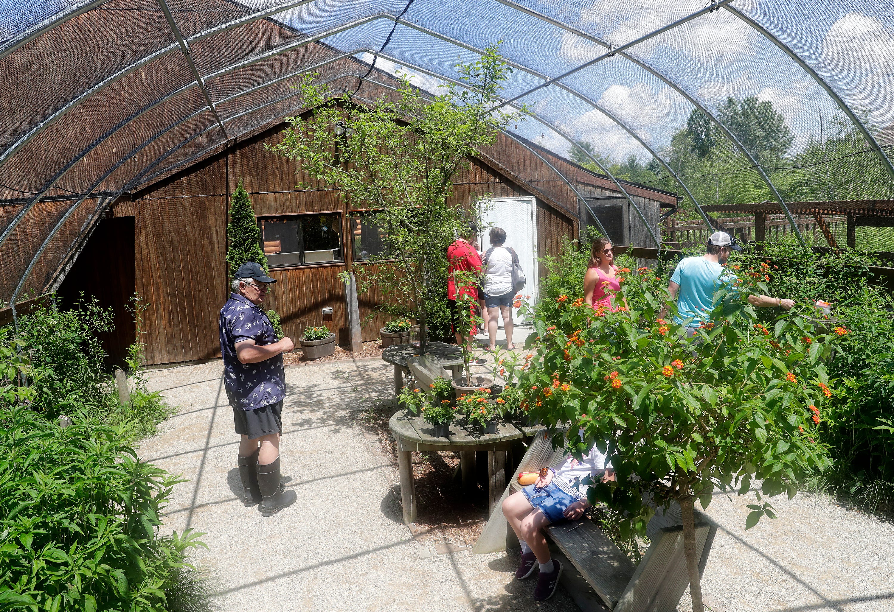 The Buzz Butterfly Gardens Of Wisconsin Closes Due To Virus Concerns