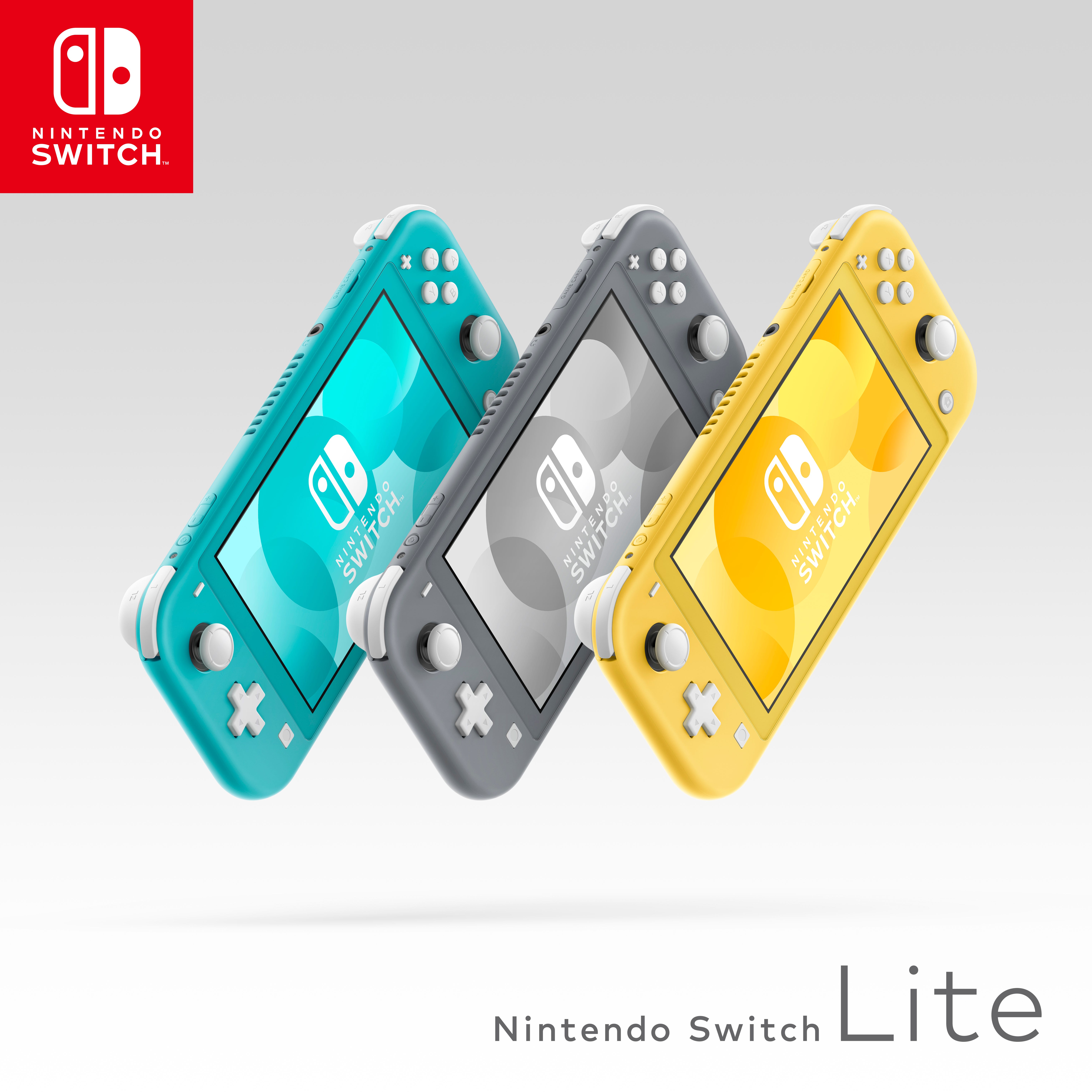 nintendo switch lite and console