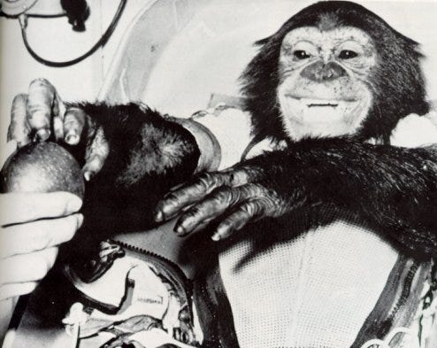 first chimp in space 1961