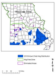 Missouri's feral hog population out of control