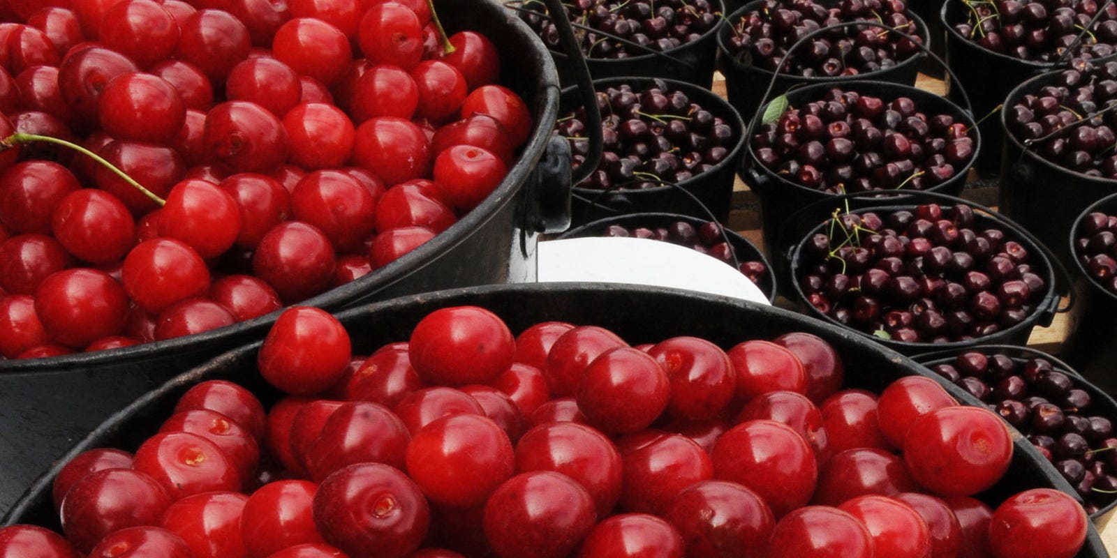 Door County Cherry Picking 2019 Some Orchards Opening More