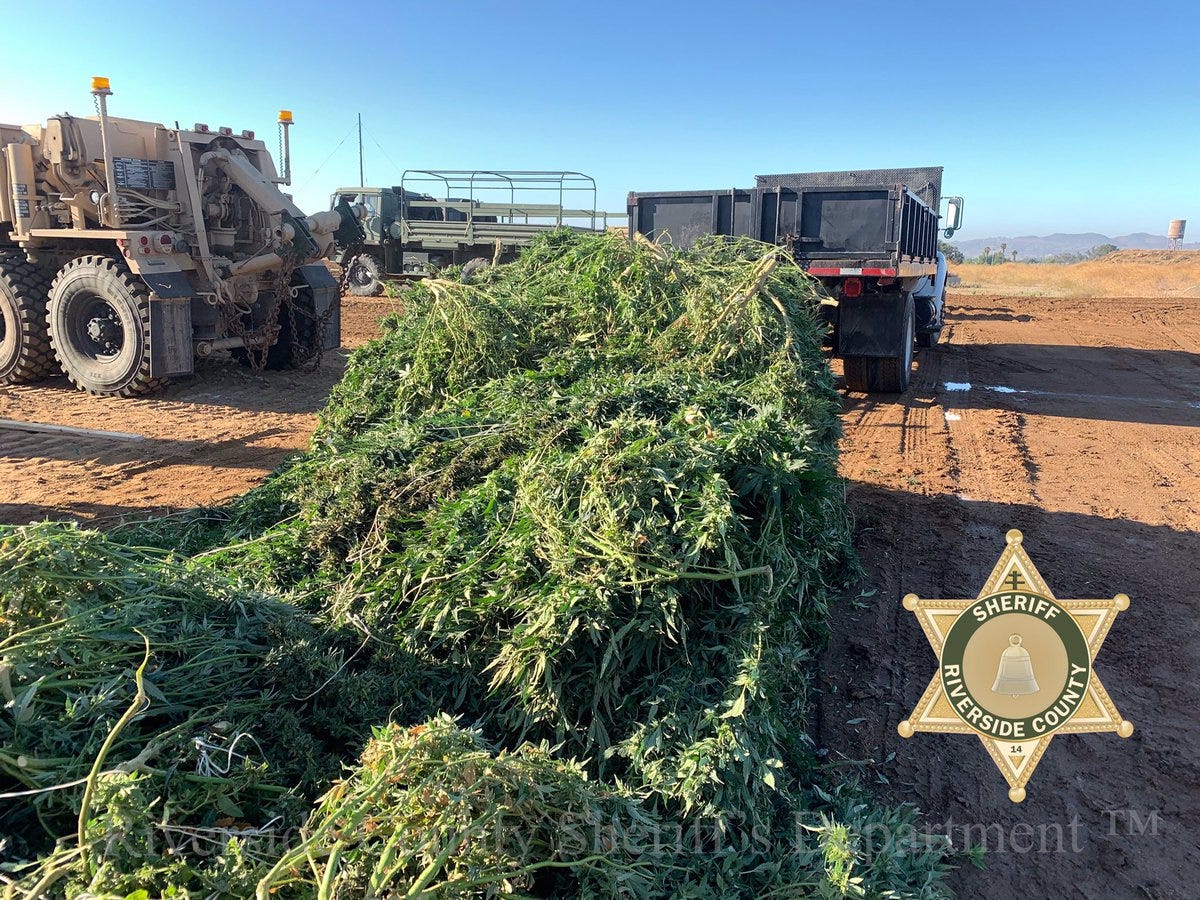 CA 48 Tonnes Seized In Huge Weed Bust | Wake And Bake