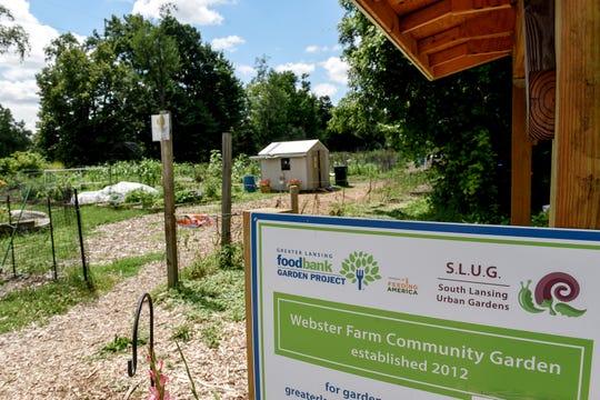 Gardening Farming In Lansing How City Neighborhoods Have Reactivated