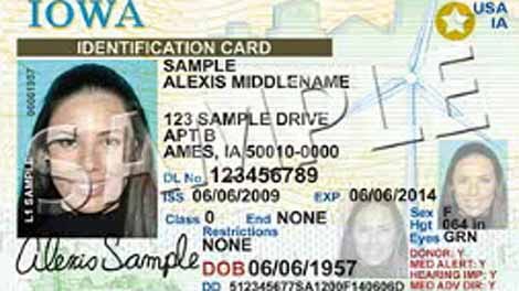 minnesota enhanced drivers license to fly