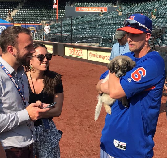 Jeff McNeil and wife, Tatiana, adopt puppy from NY Mets event