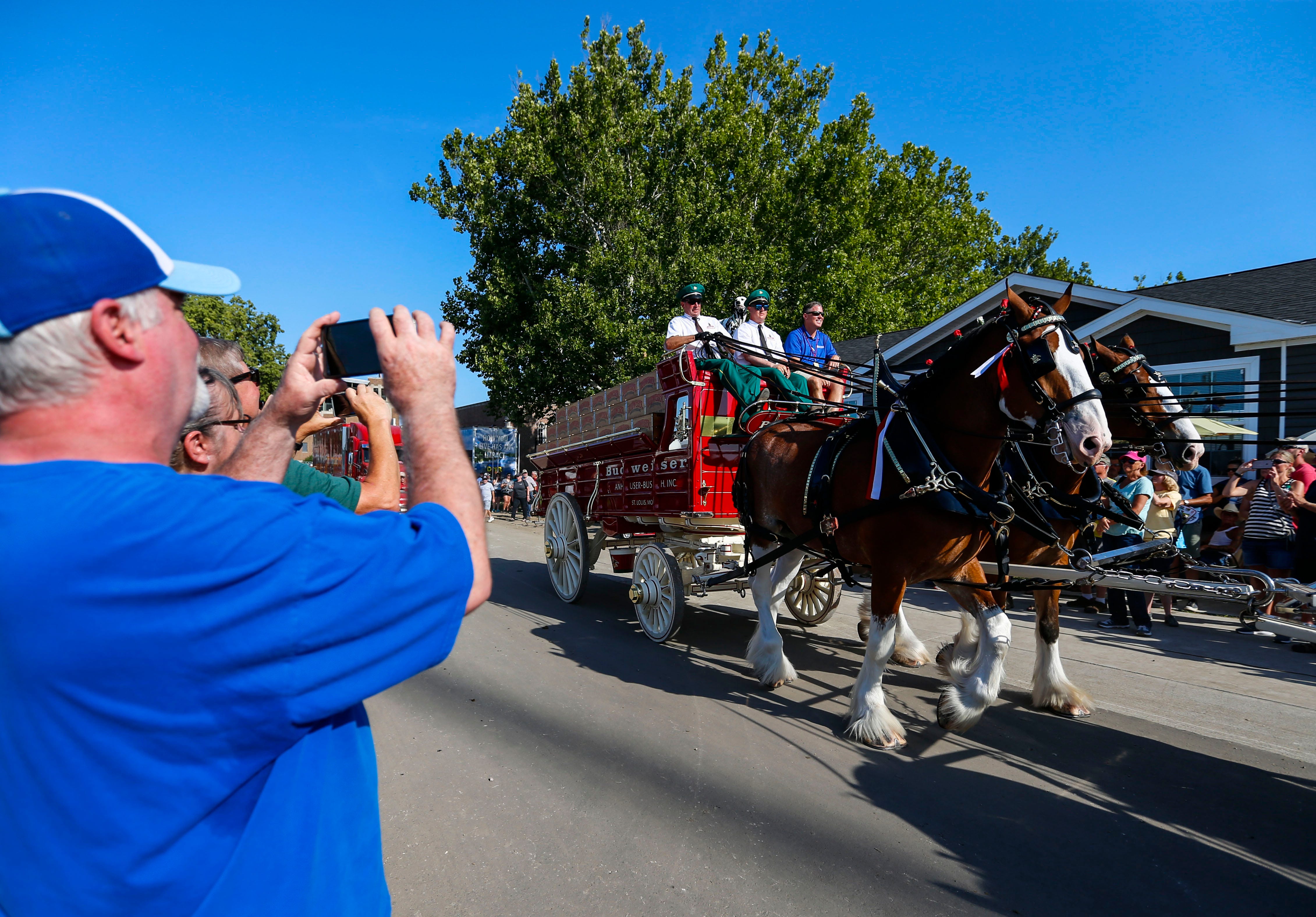 Photos Budweiser Clydesdales at the Iowa State Fair