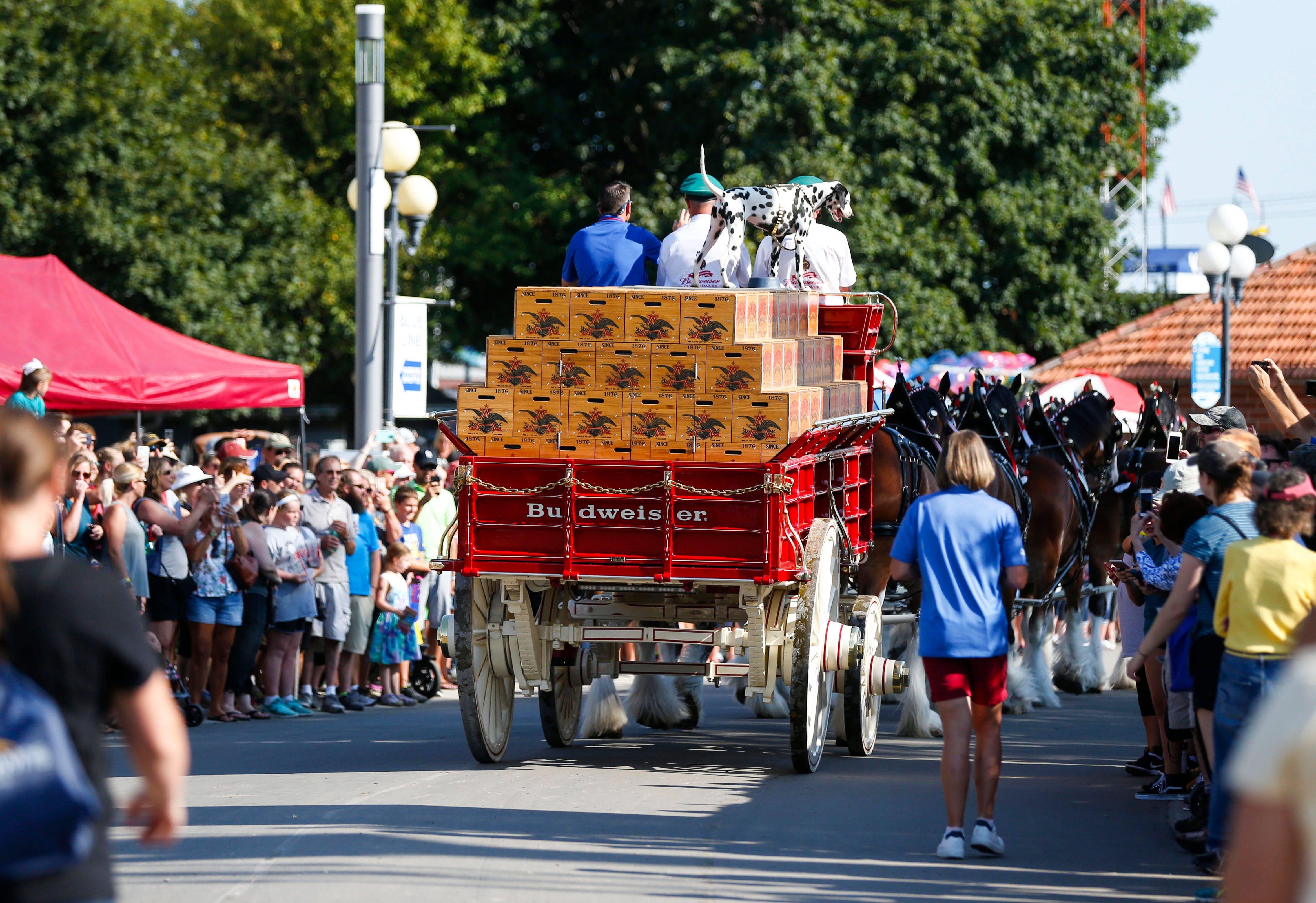 Photos Budweiser Clydesdales at the Iowa State Fair