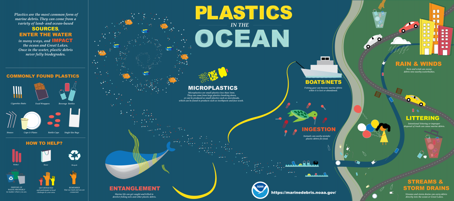 As Plastic Production Grows, Can Delaware Protect Its Iconic Marine Life?