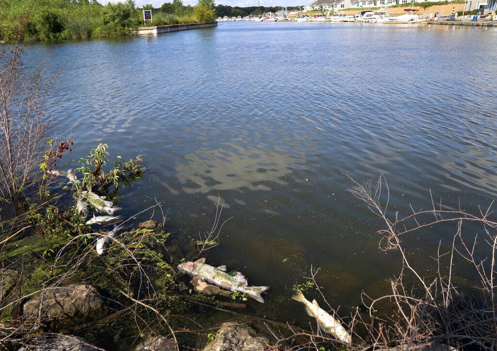 Mayor Officials waited days to warn of Lake Michigan chemical spill