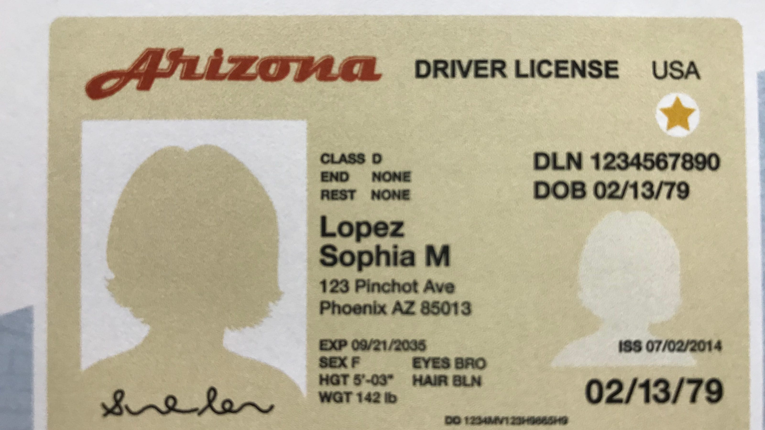 minnesota drivers license number meaning