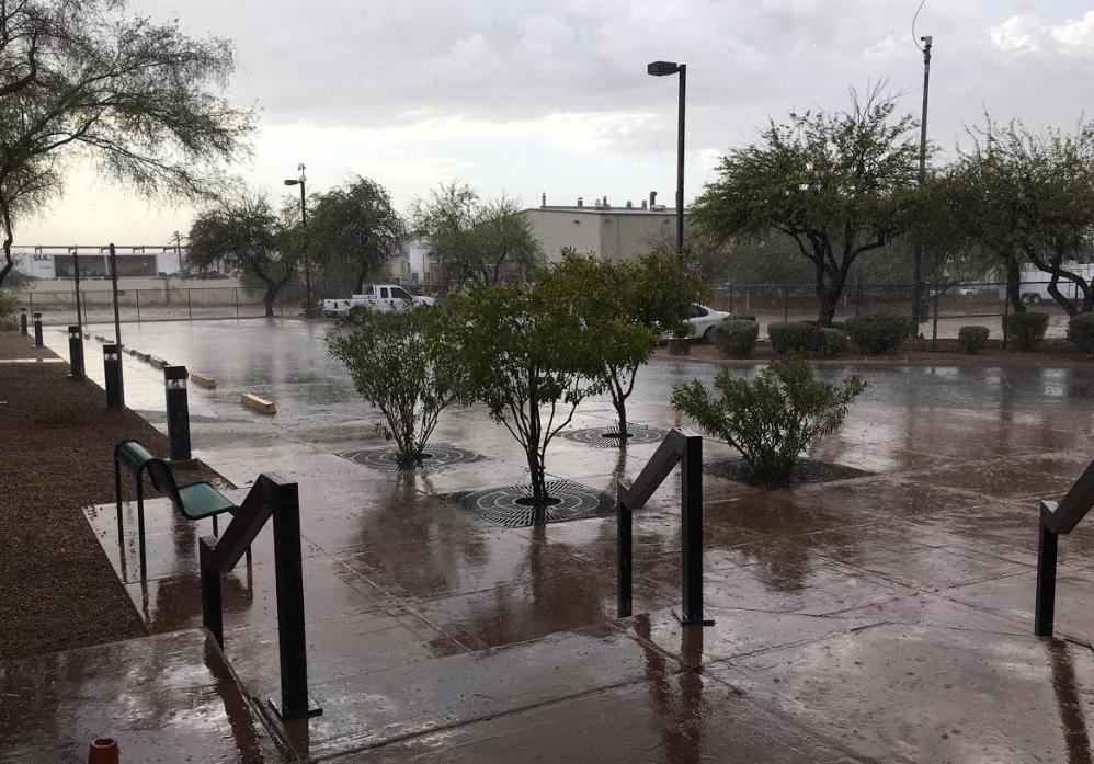 phoenix rain history