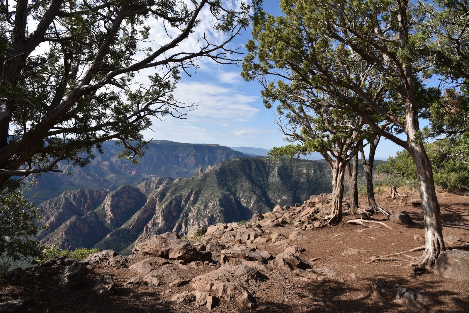 How To Hike Sycamore Canyon Trail To Sycamore Point, AZ