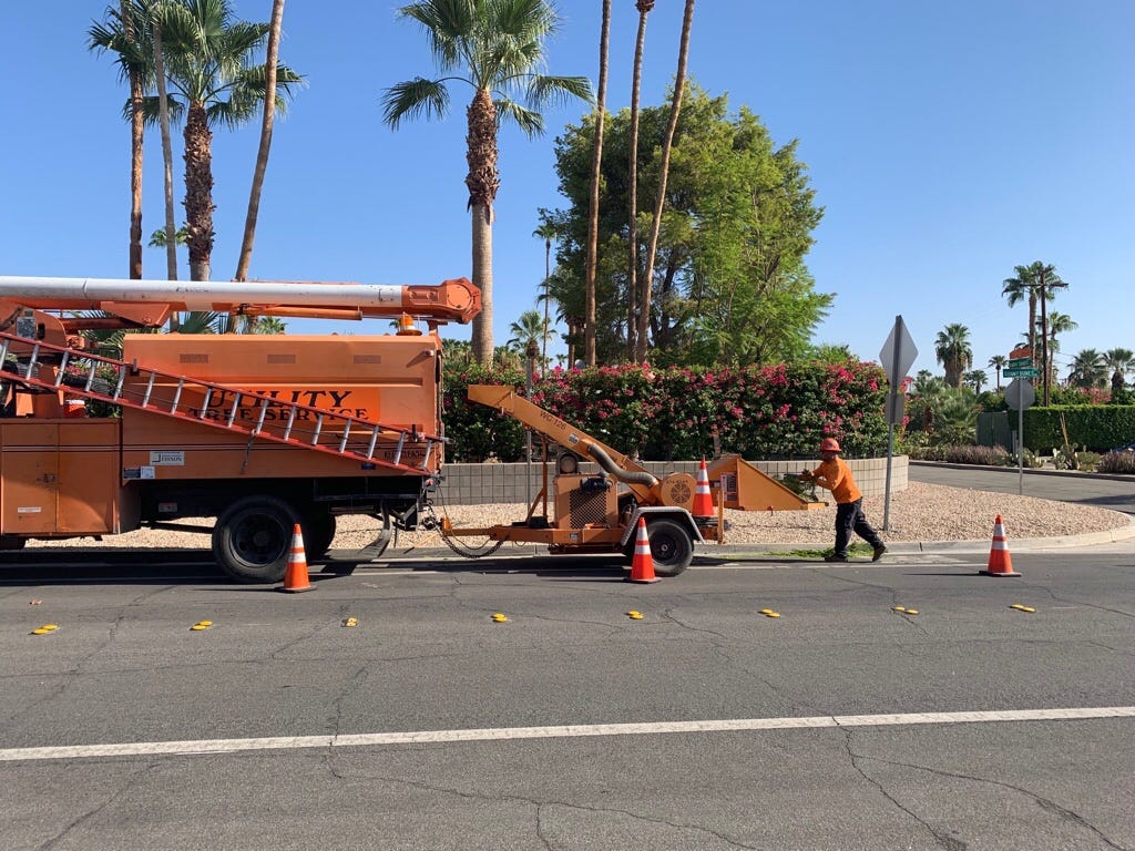 electric palm tree trimmer