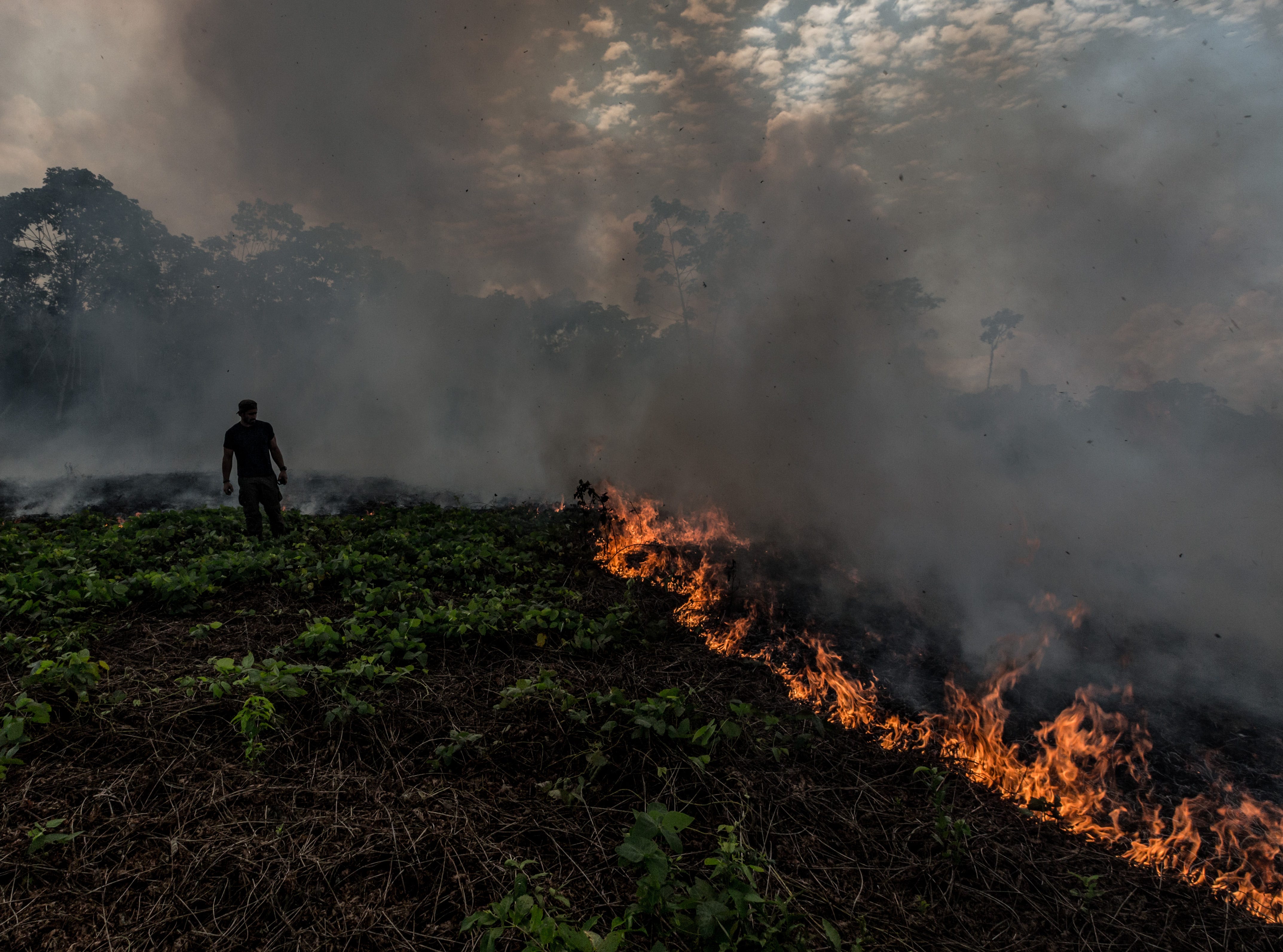 Amazon Rainforest Fires A Terrible Consequence Of Global Deforestation