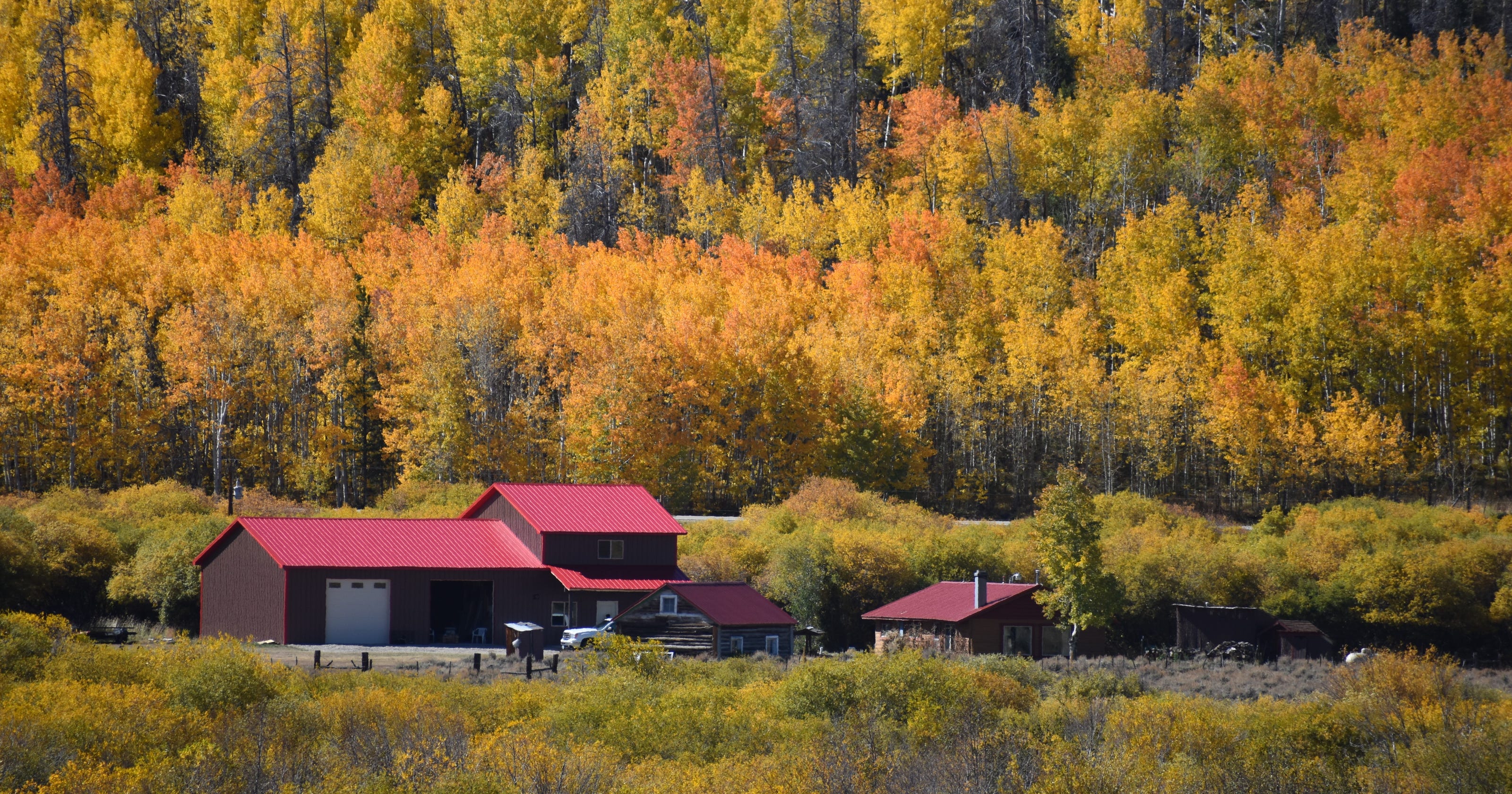 Colorado's aspen viewing Last chance to see them at their peak