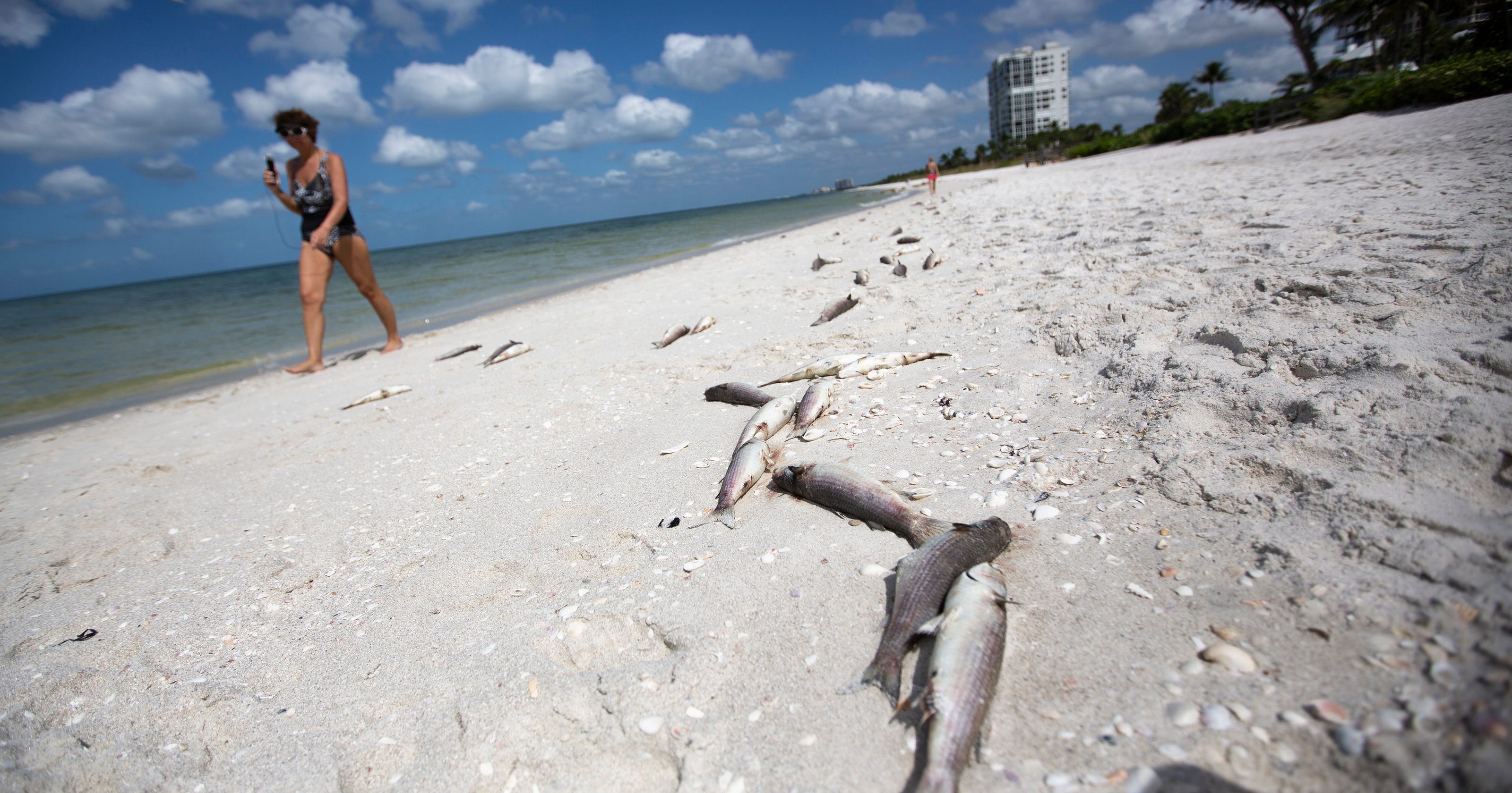 Red tide Respiratory irritation possible from Bonita Beach to Marco Island