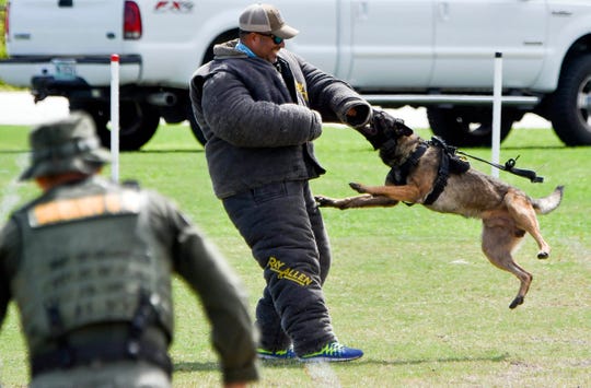 Cocoa police K-9 competition showcases dog skills at Dick Blake Stadium