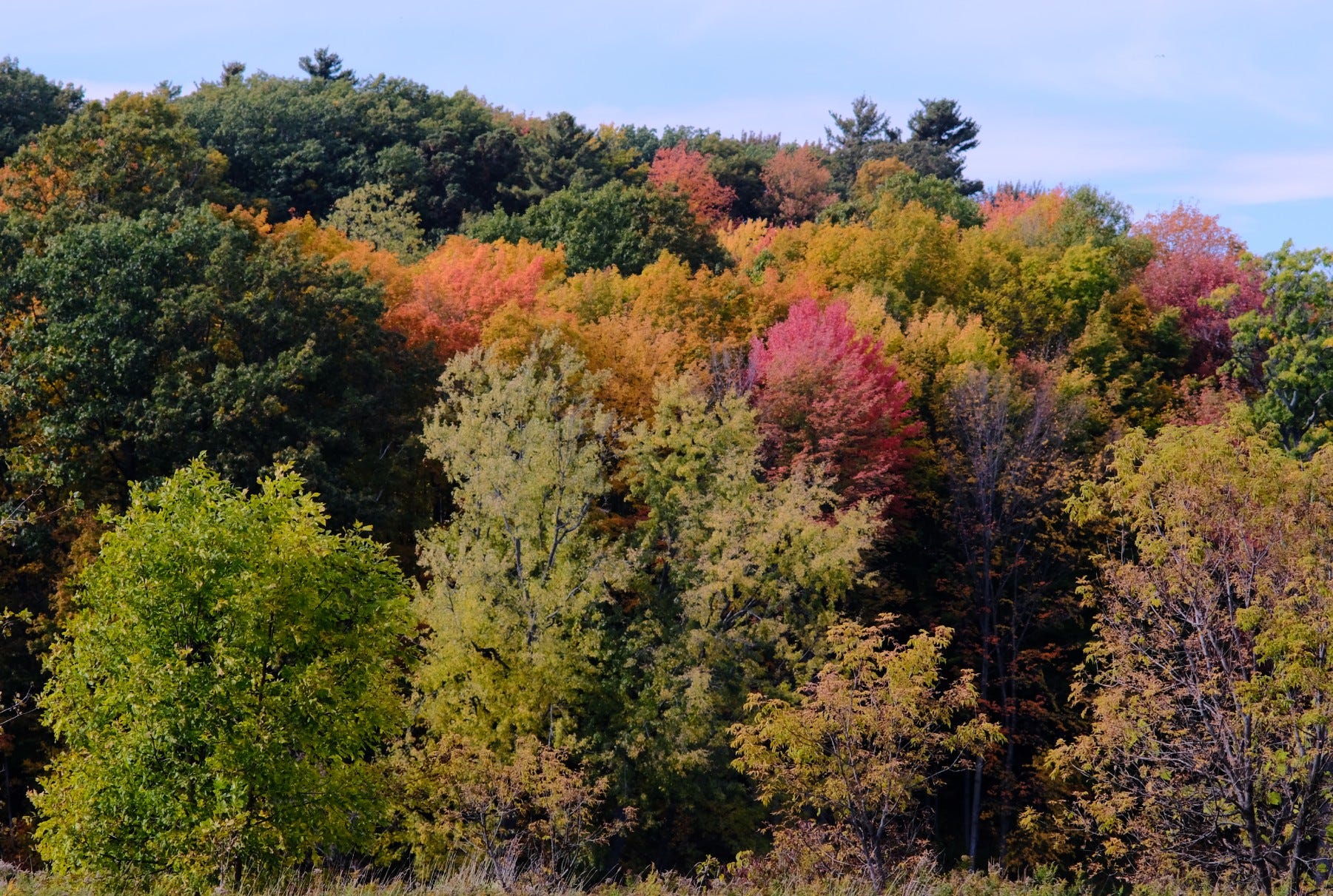 Vermont Fall Foliage 2020: See Interactive Maps Of Changing Colors