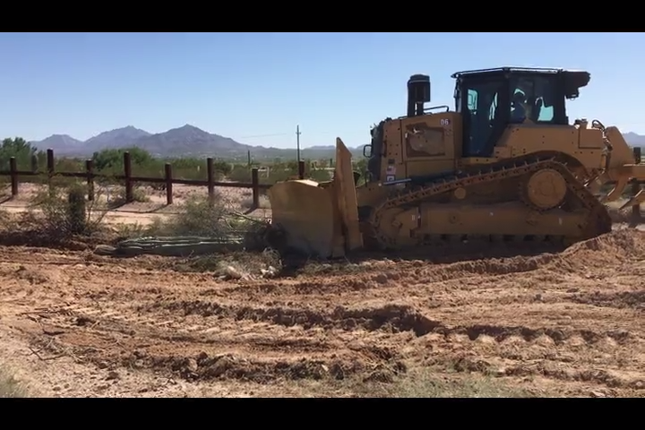 Trump S Border Wall Is Destroying Organ Pipe Cactus National Park