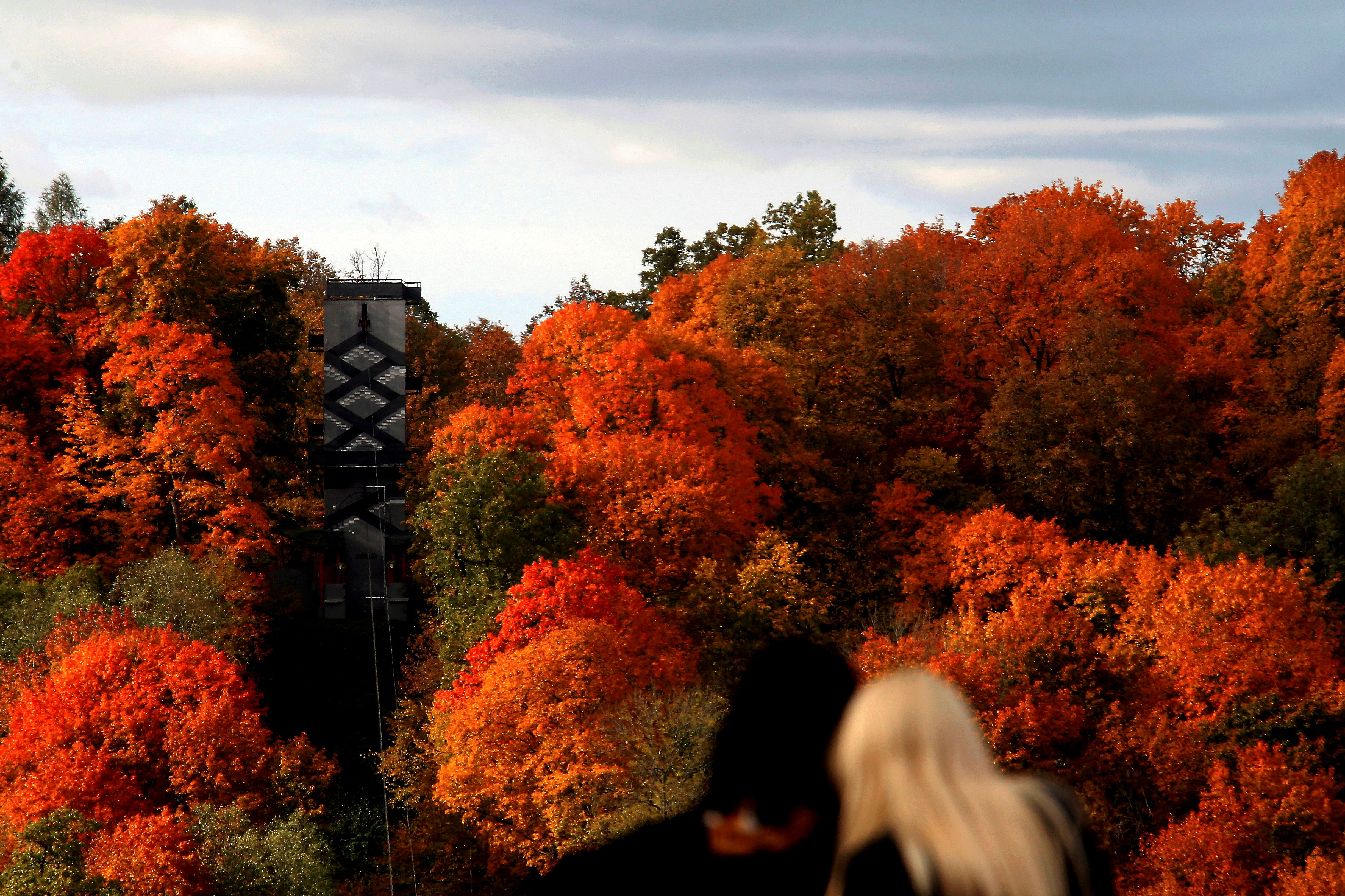 Beautiful Fall Foliage Around The World In 2019