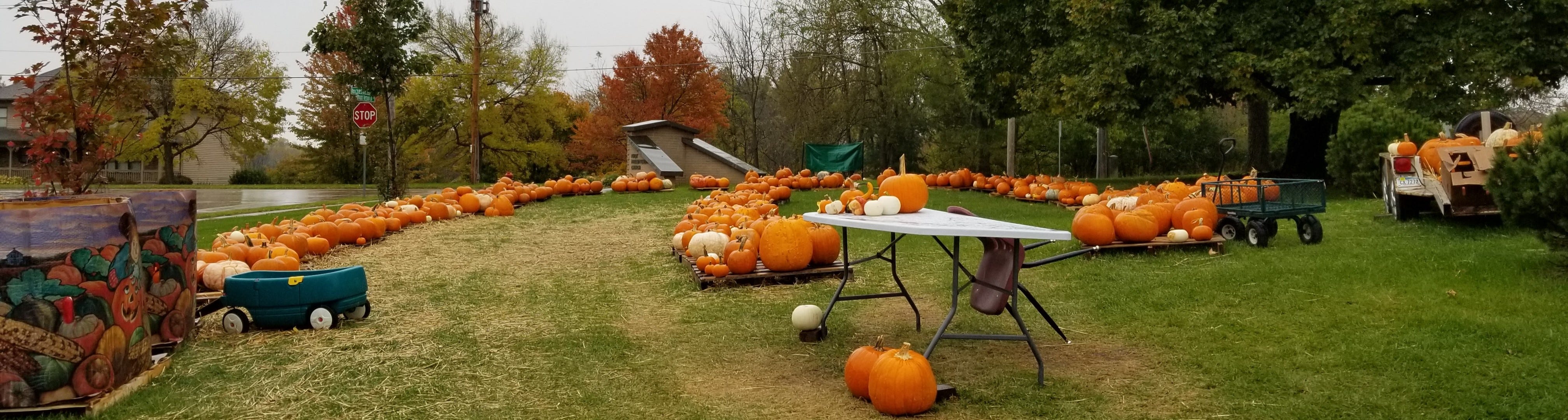 pumpkin patch in memphis tn