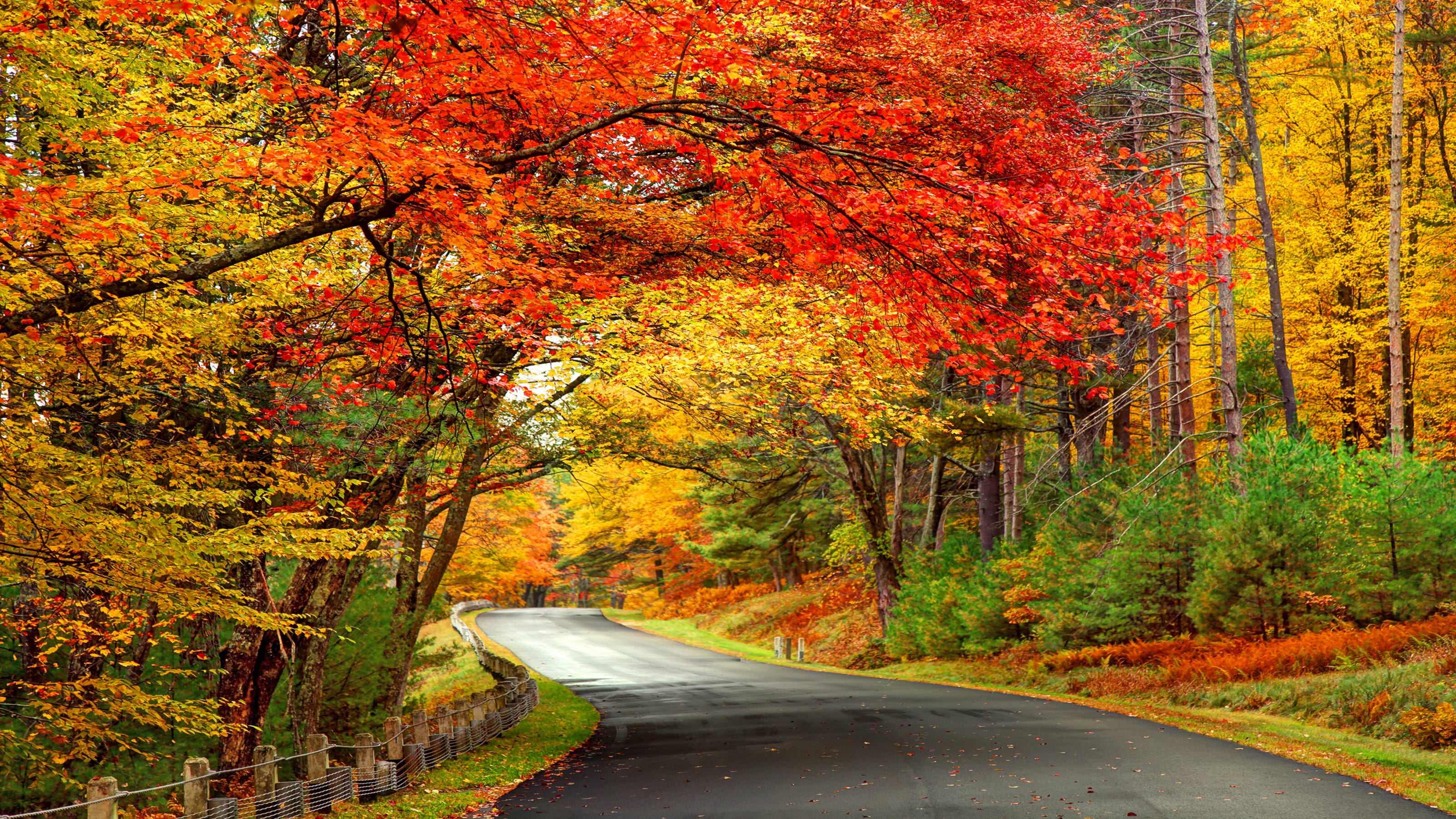 10 Places To Go Leaf Peeping This Fall | Free Download Nude Photo Gallery