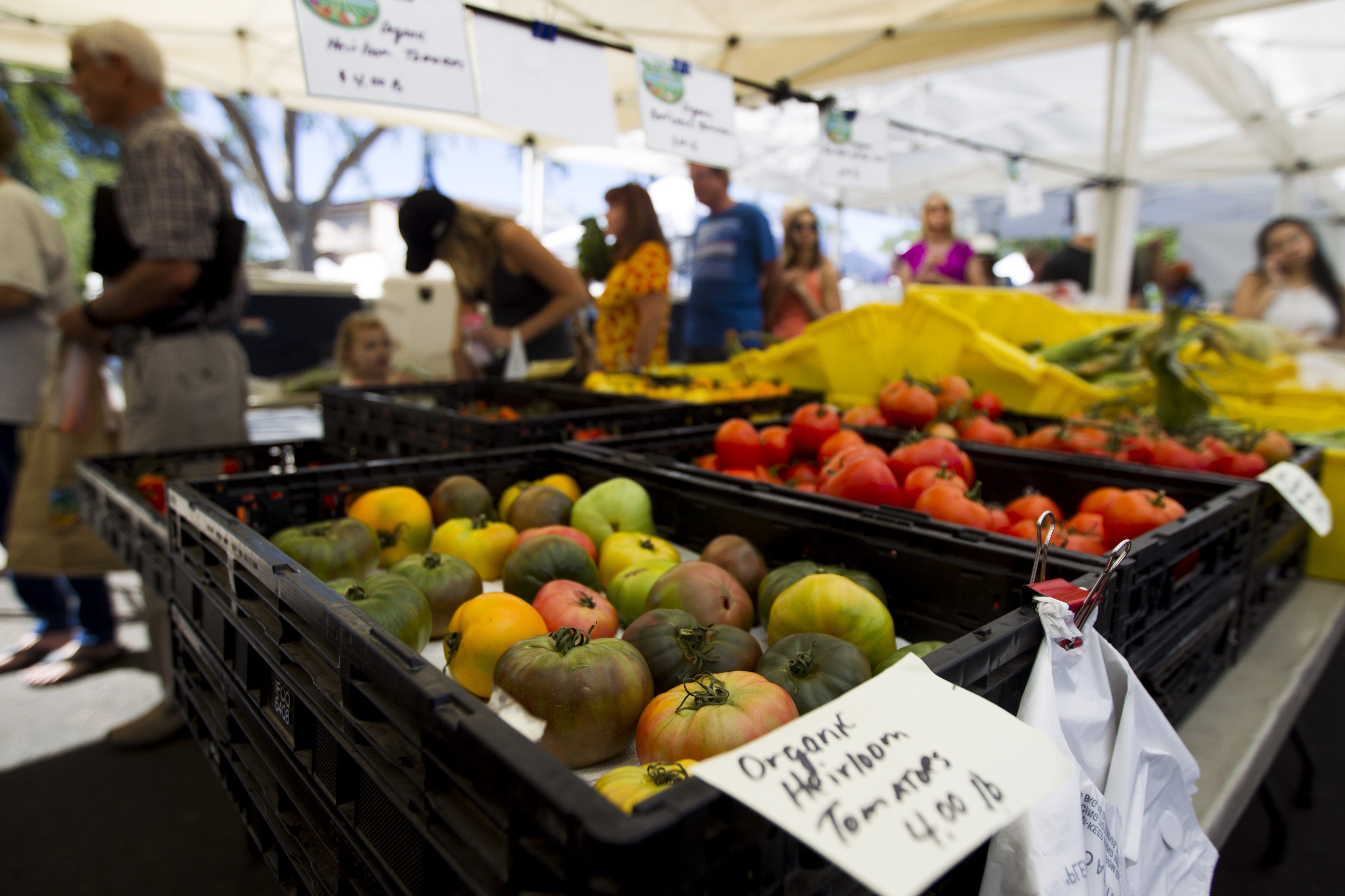 15 Farmers Markets In Metro Phoenix Tempe Scottsdale And Glendale   97800d11 0ee0 4408 964e 1bf61d094e00  20161001 Uptown Farmers Market 0111.JPG