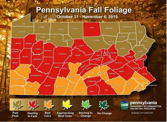 Pennsylvania fall foliage: Where are the leaves changing this weekend?