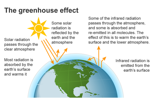 Florida consumes 8 times the energy it produces as IEA urges action