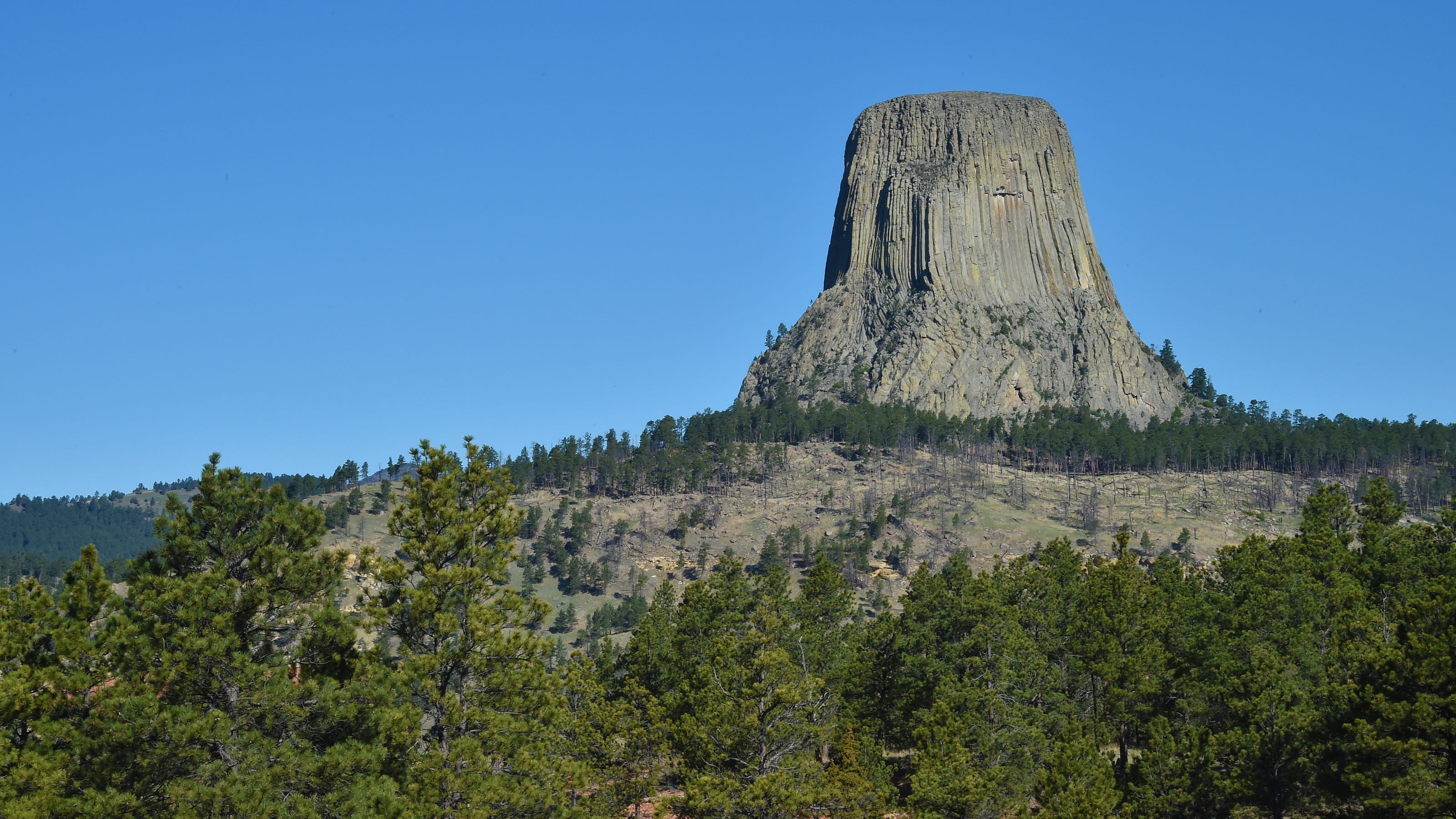 devils tower wyoming roots