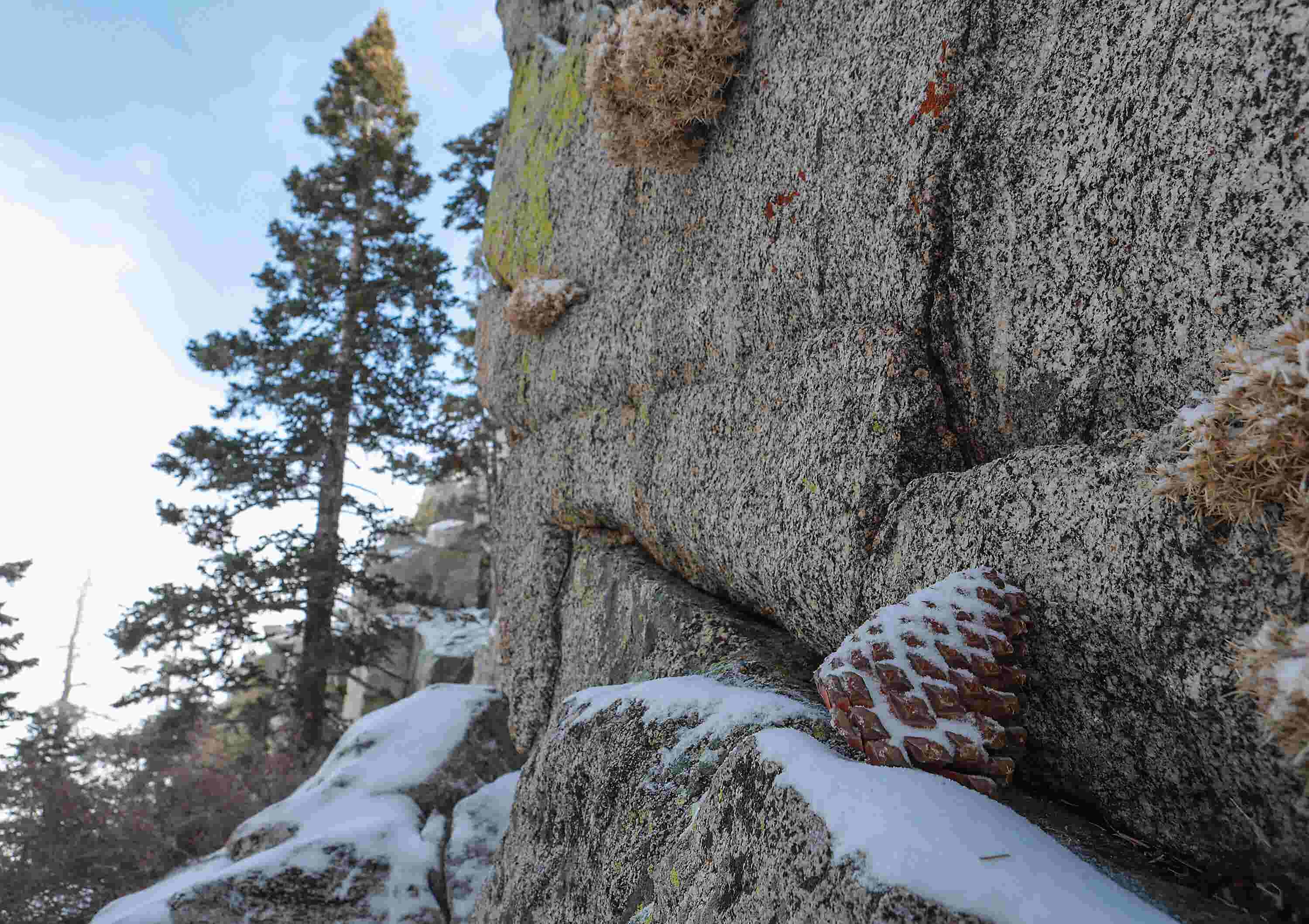 Video: Snow falls for the first time this season in Palm Springs