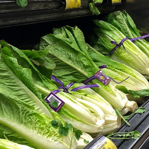 This Nov. 20, 2018 file photo shows romaine lettuc