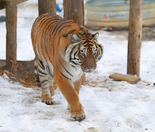 6 places in Indiana to hang out with wild animals this winter