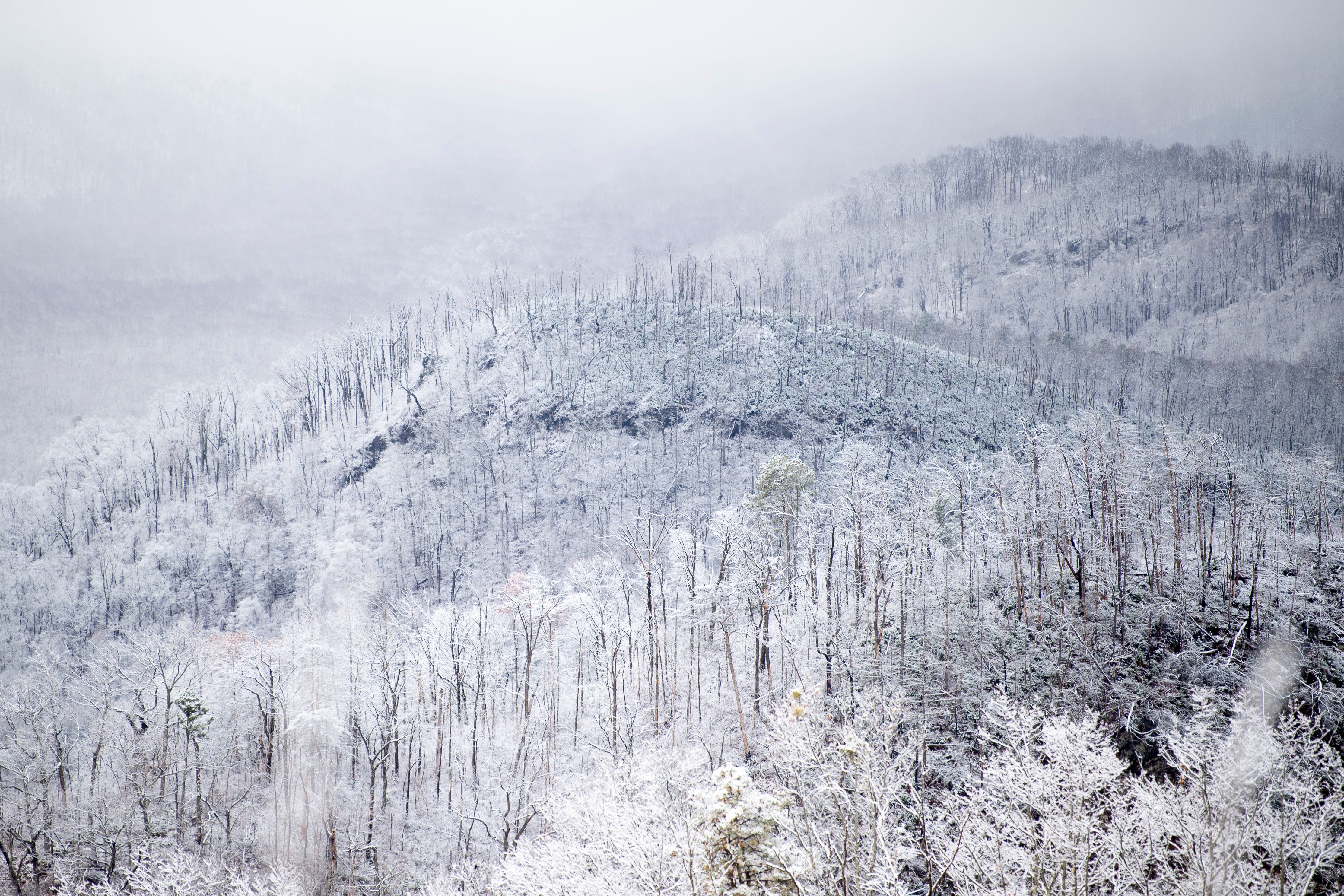 Does It Snow In Tennessee? - The Family Vacation Guide