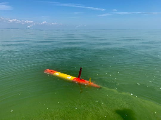 Lake Erie's severe algal bloom in 2019 stirs worries about ...