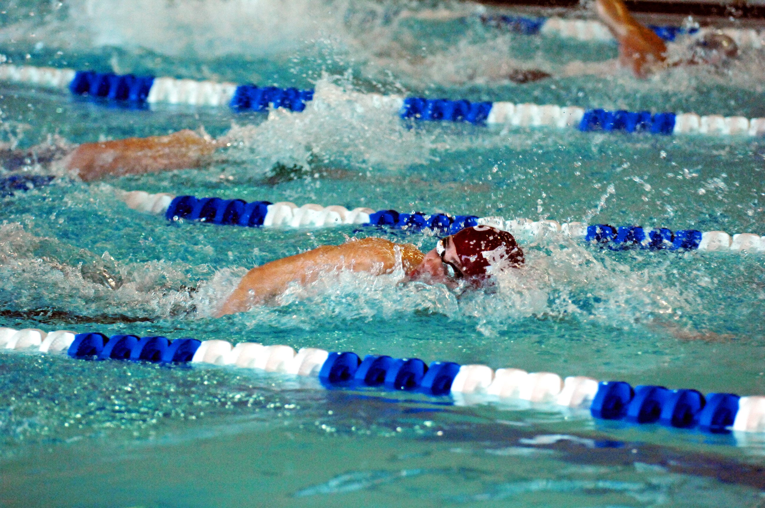 jersey tigers swimming