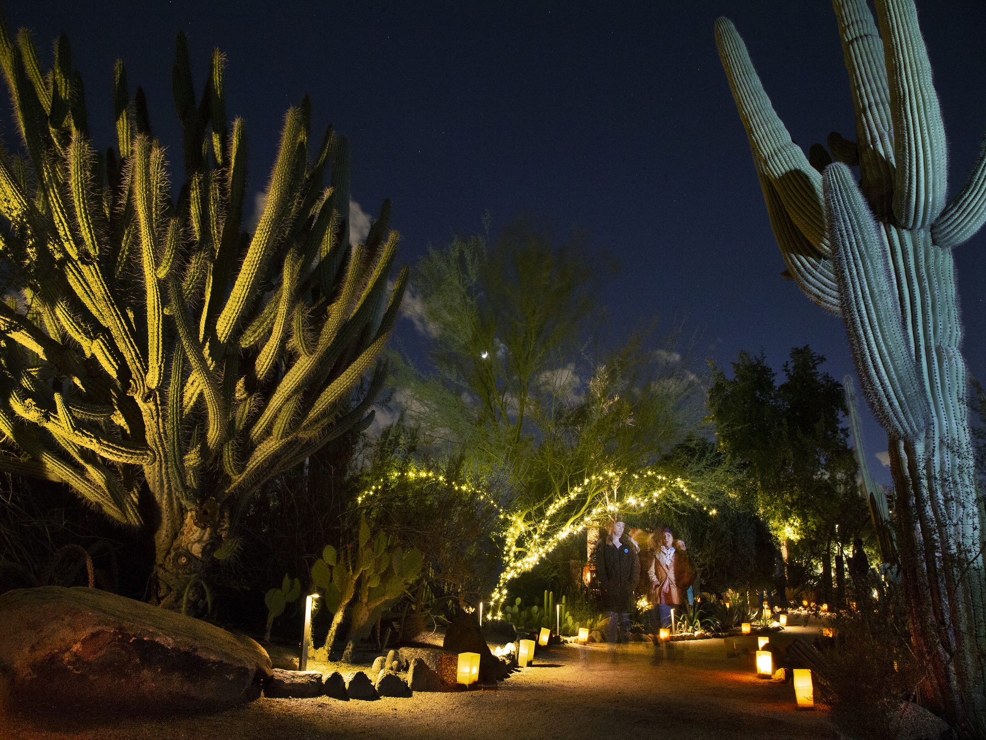 Your guide to Desert Botanical Garden's Christmas lights in Phoenix