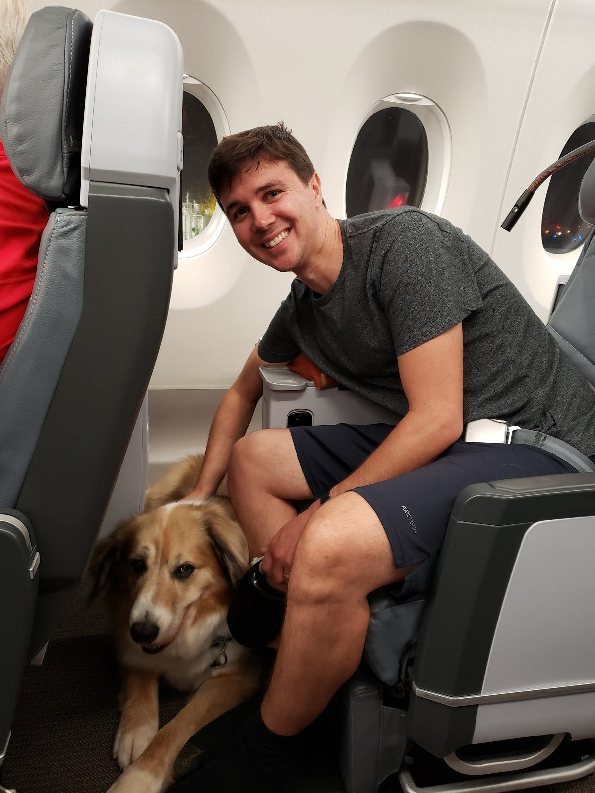 can you ship a dog on a plane