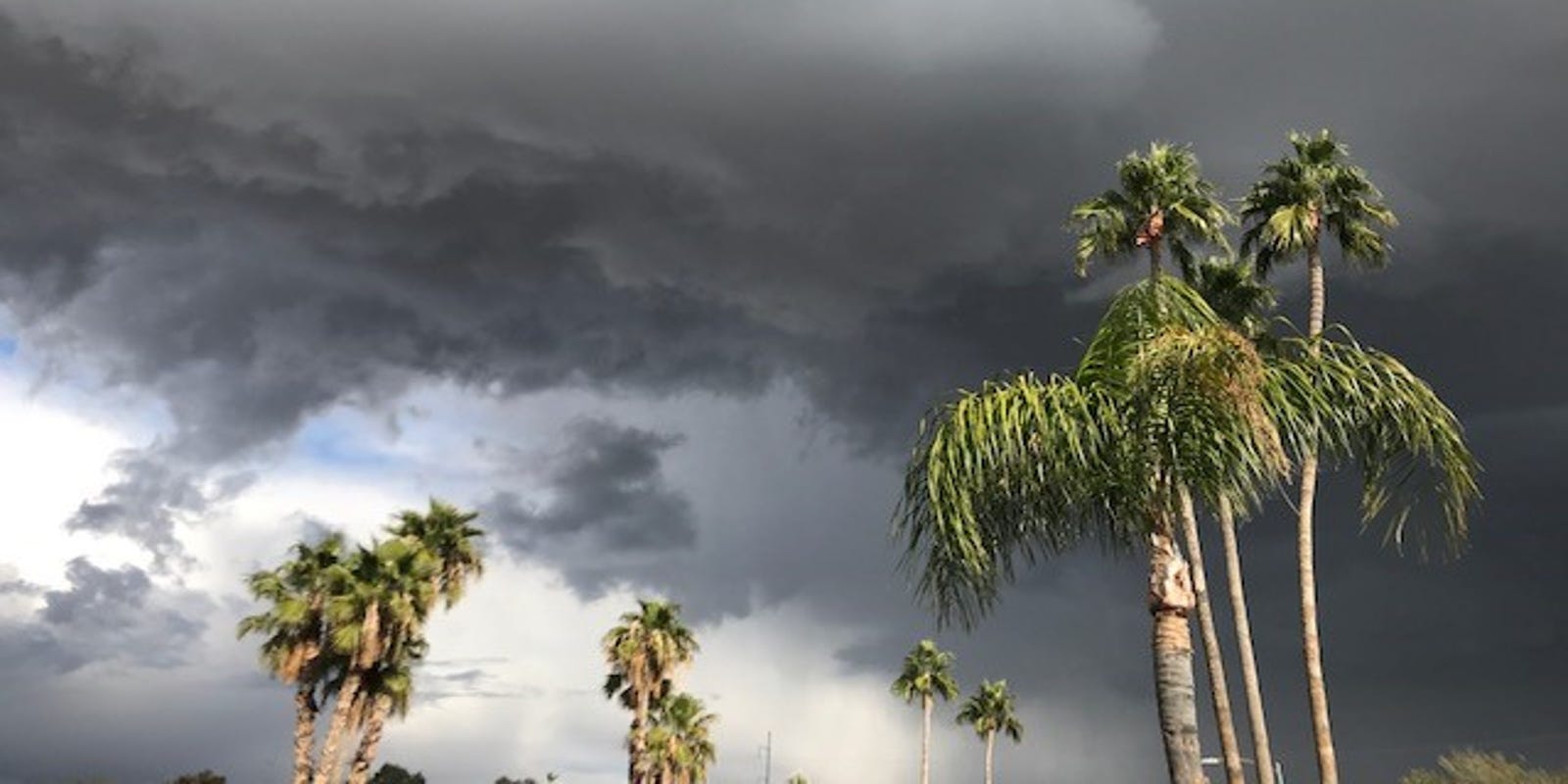 Phoenix weather 2019 Rain and temperature highs and lows